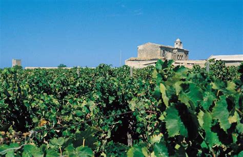 Marsala: Winery Tour with Wine Tasting and Local Products | GetYourGuide