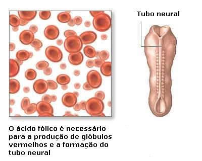 Anemia por Deficiência de Vitaminas : Conhecer para Prevenir!