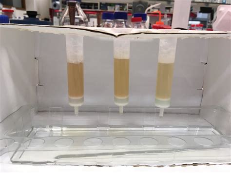 Why does buffer pH affect shade of cell lysate? | ResearchGate