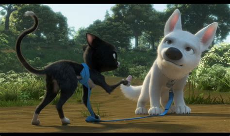 cute pictures of Bolt and Mittens - Disney's Bolt Image (5261745) - Fanpop