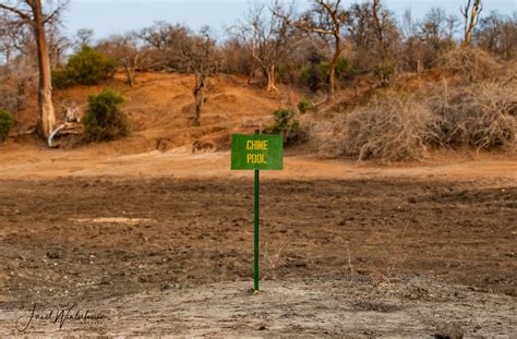 Severe drought affecting elephants and other wildlife in Mana Pools - Africa Geographic