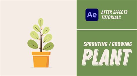 Sprouting/Growing Plant Animation - After Effects Tutorial #23 - YouTube