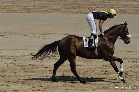 Horse racing on the beach in Ribadesella | Horses, Horse racing, Horse ...