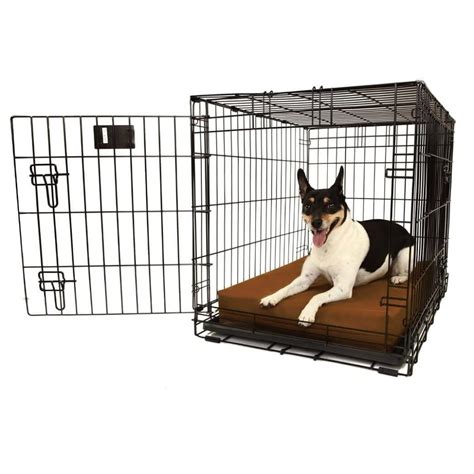 Big Barker Dog Bed Review - Must Read This Before Buying