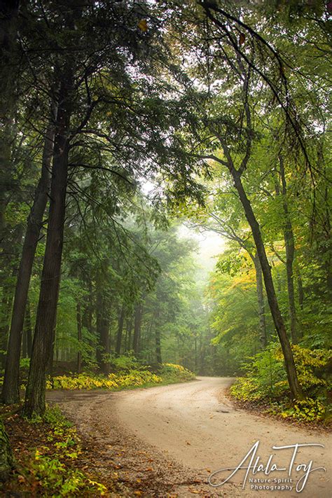 Country Road in Autumn - Atala Toy Nature Beings Photography