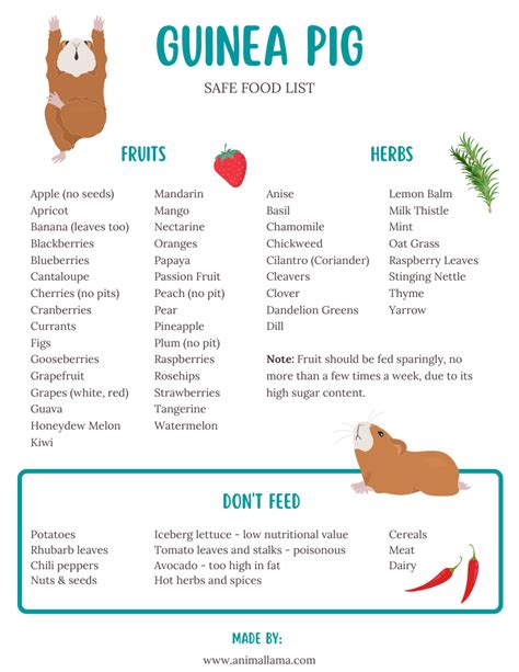 Safe Fresh Food List for Guinea Pigs: Vegetables, Fruits & Herbs | Animallama | Guinea pigs ...