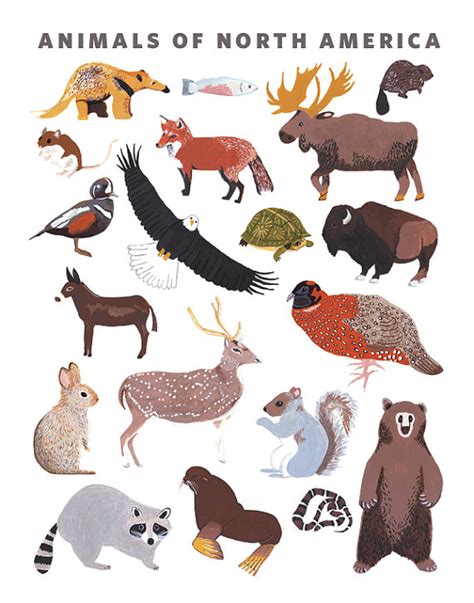 animals of the north clipart 10 free Cliparts | Download images on ...