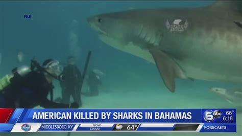 Sharks attack in Bahamas, killing Southern California woman - YouTube