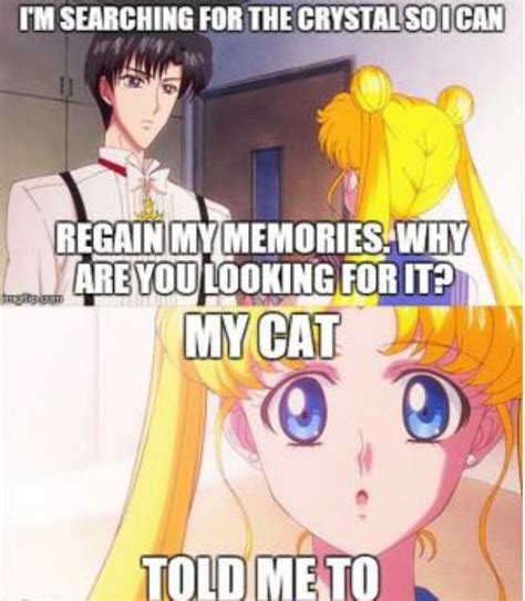 73 best Sailor Moon Memes images on Pinterest | Sailor scouts, Sailors and Sailor moon funny