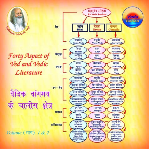 Forty Aspects of Veda And Vedic Literature Vol. 1 & 2: Maharishi Vedic Pandits: Amazon.in: Music}