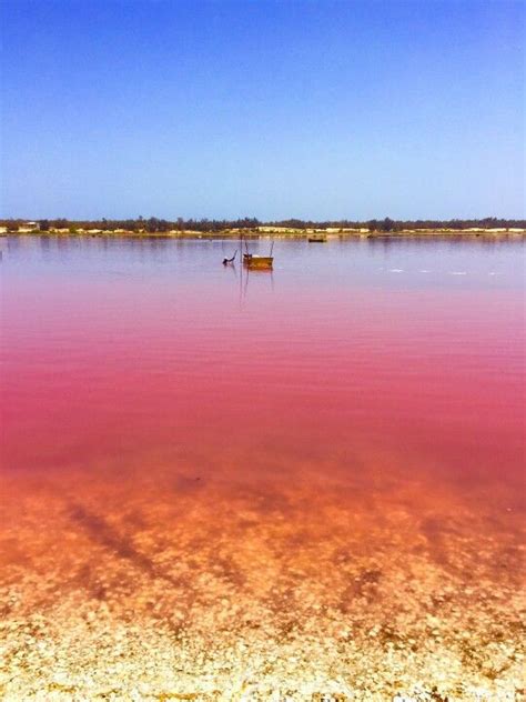 Lake Retba, Dakar area, Senegal | Lake retba, Senegal travel, Africa travel