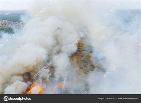 Forest fire, smoke of surrounding area. smoke and fire. Stock Photo by ©hlalex 342458020