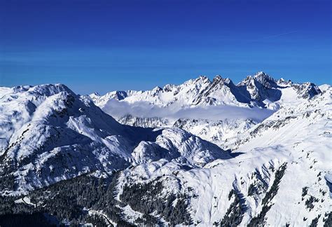 Beautiful Austrian Alps with blue skies, snowy peaks, and pine trees Photograph by Jack Krier