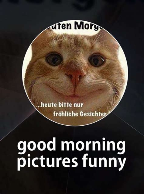 Good Morning Funny Meme