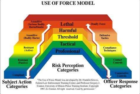 use of force- police - Google Search | Police, Law enforcement training, Leadership models