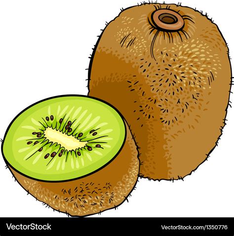 Kiwi fruit cartoon Royalty Free Vector Image - VectorStock