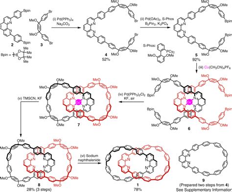 An isolable catenane consisting of two Möbius conjugated nanohoops ...