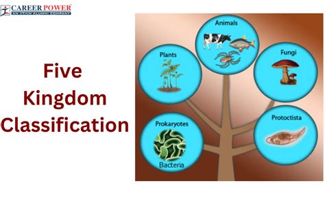 Five Kingdom Classification, Characteristics and Advantages