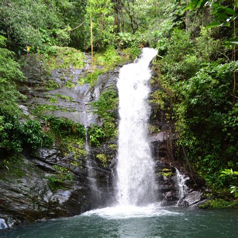 Cockscomb Jaguar Preserve Hike - Get to Know Belize Adventures