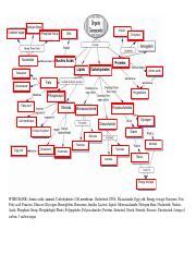 Biological Molecules Concept Map - Carolina Map