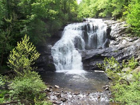 THE 10 BEST Hidden Gem Attractions in Robbinsville | Tripadvisor