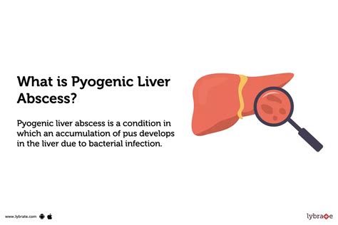 Pyogenic Liver Abscess: Causes, Symptoms, Treatment and Cost