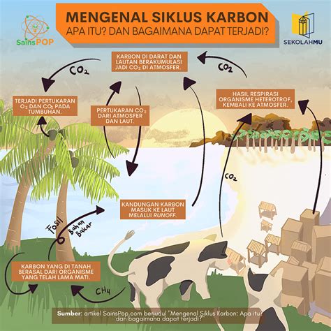 Mengenal Siklus Karbon: Apa Itu dan Bagaimana Dapat Terjadi? - SainsPop