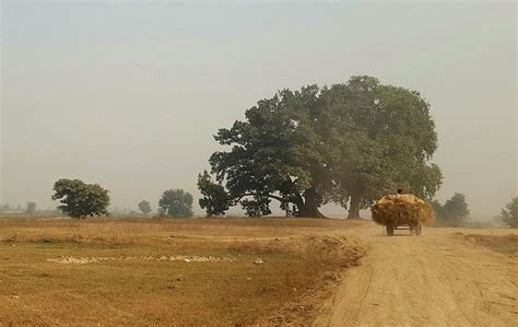 Punjab | Amazing buildings, Landscape, Punjab