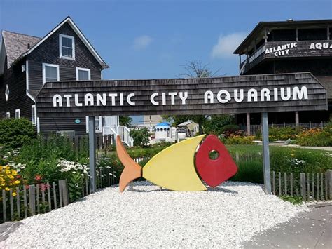 ac aquarium - Review of Atlantic City Aquarium Historic Gardner's Basin, Atlantic City, NJ ...