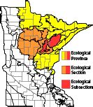 Minnesota Seasons - Sax-Zim Bog