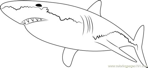 Baby Shark Coloring Pages at GetDrawings | Free download