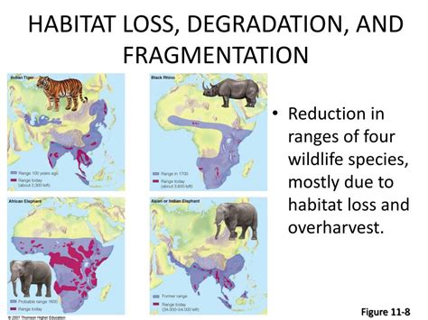 Habitat Fragmentation Biology Def at Sadie Burroughs blog