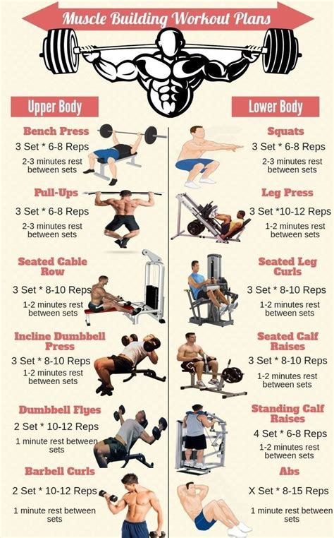 Full Body gym workouts chart | gym workouts tips - #fullbodyworkout # ...