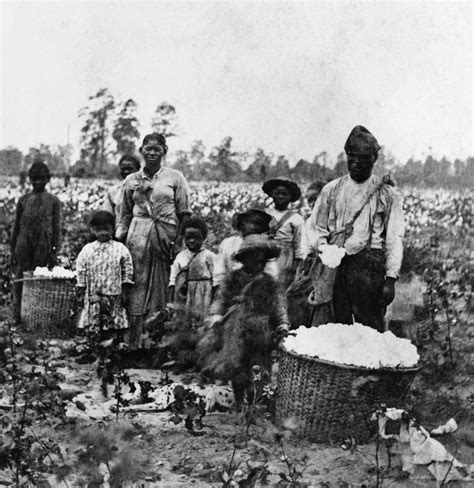 plantation-slaves - Slave Life Pictures - Slavery in America - HISTORY.com