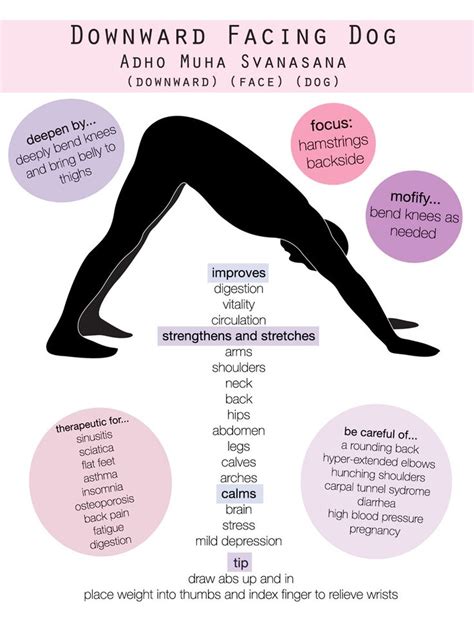 downward facing dog + benefits, modifications and tips! | Asana ...