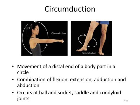 PPT - Classification of Joints PowerPoint Presentation - ID:1589838