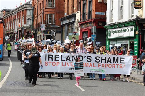 Protest against live exports from Ireland to countries outside of the ...