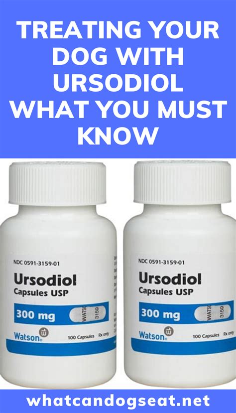 Treating Your Dog with Ursodiol: What You Must Know | Can dogs eat, Dog health tips, Dog health care