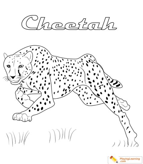 Cheetah Coloring Page 10 | Free Cheetah Coloring Page