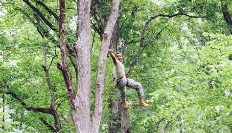 Zipline Treetop Adventure, St. Louis, Maryland Heights - 3 Hours