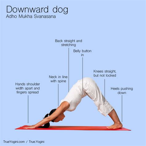 12+ Downward Dog Yoga Benefits | Yoga Poses