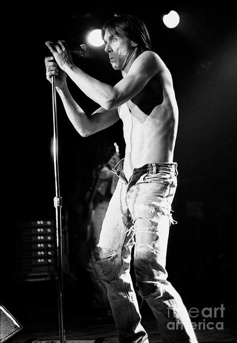 Iggy Pop Photograph by Concert Photos - Fine Art America