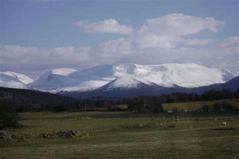 The Cairngorms - the backdrop to all our Speyside wildlife watching ...