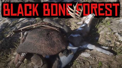 RDR2 Legendary Buck | Hunting & WildLife Photography Black Bone Forest - YouTube