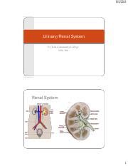 A Assess the dialysis access for a bruit and a thrill B Insert an indwelling | Course Hero