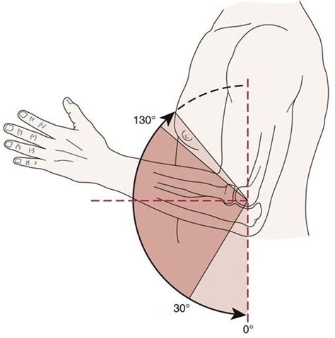 Elbow Flexion And Extension Exercises