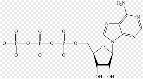 Grupo funcional fosfato química orgánica del fósforo, ángulo, texto png | PNGEgg