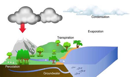 Water Cycle Animation Video for Kids - YouTube