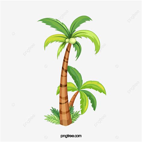 Transparent Background Coconut Tree Vector Png - Rwanda 24