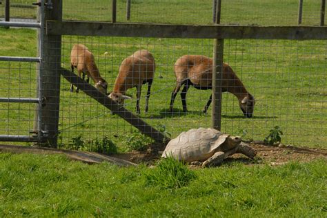 Lake District Wildlife Park - Visit Cumbria